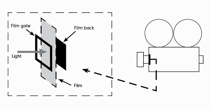 schema film gate e film back