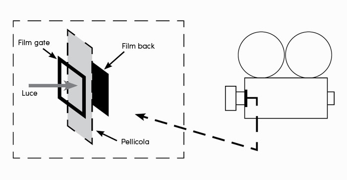 schema film gate e film back