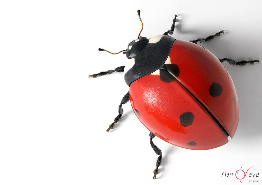 illustrazione di una coccinella 3d 01