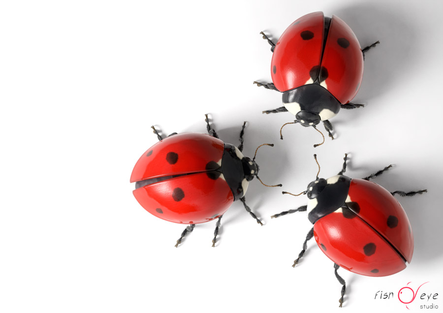 illustrazione di una coccinella 3d 02